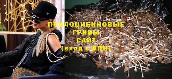 МДМА Каменка